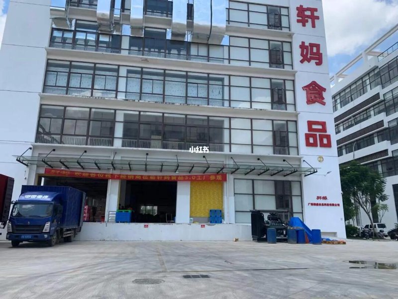 采虹轩食品：行业领先的美味零食制造商